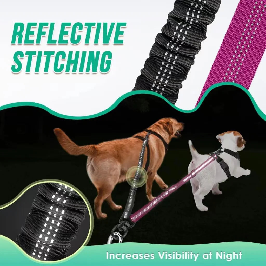 1.6ft Long Dual Dog Leash Attachment - Double Leashes for Training Small to Large Dogs Adjustable Strap, Shock Absorbing Bungee