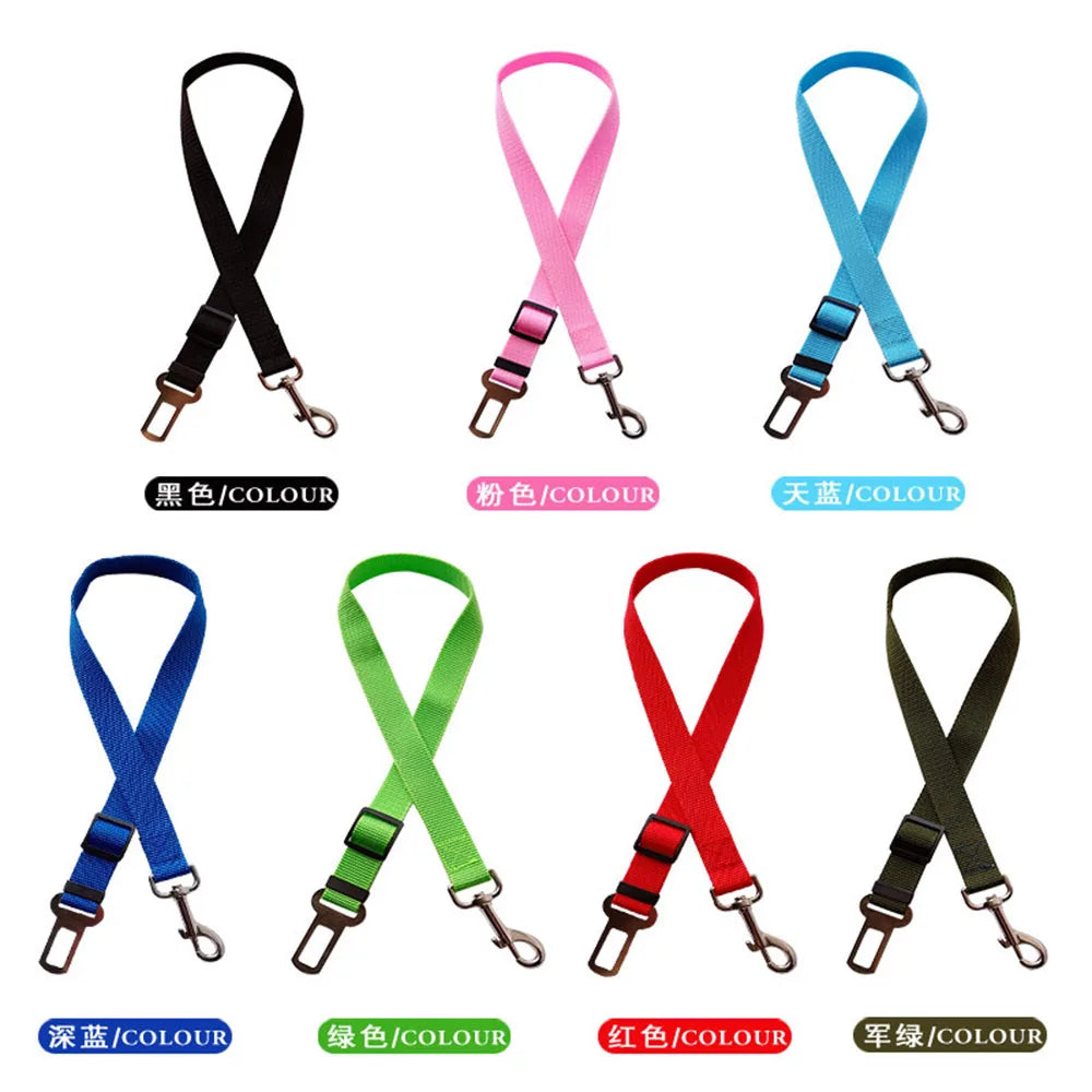 Pet Seatbelt/Fitted Car seats for Pets