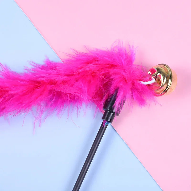 5pcs Funny Kitten Cat Teaser Interactive Toy Rod with Bell and Feather Toys For Pet Cats Stick Wire Chaser Wand Toy Random Color