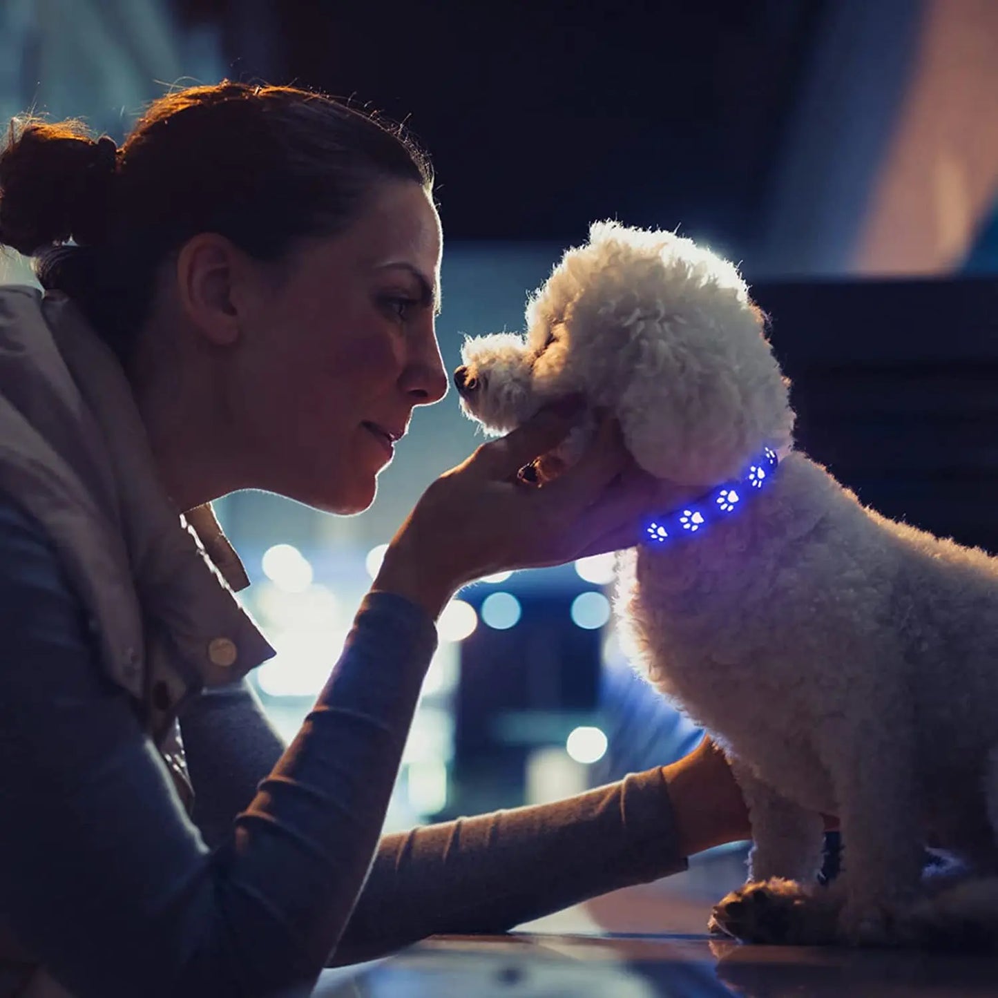 Rechargeable LED Dog Collar Rainproof Nylon USB-C Luminous Dog Necklace 3 color 6 modes Light Up Pet Collars for Dogs